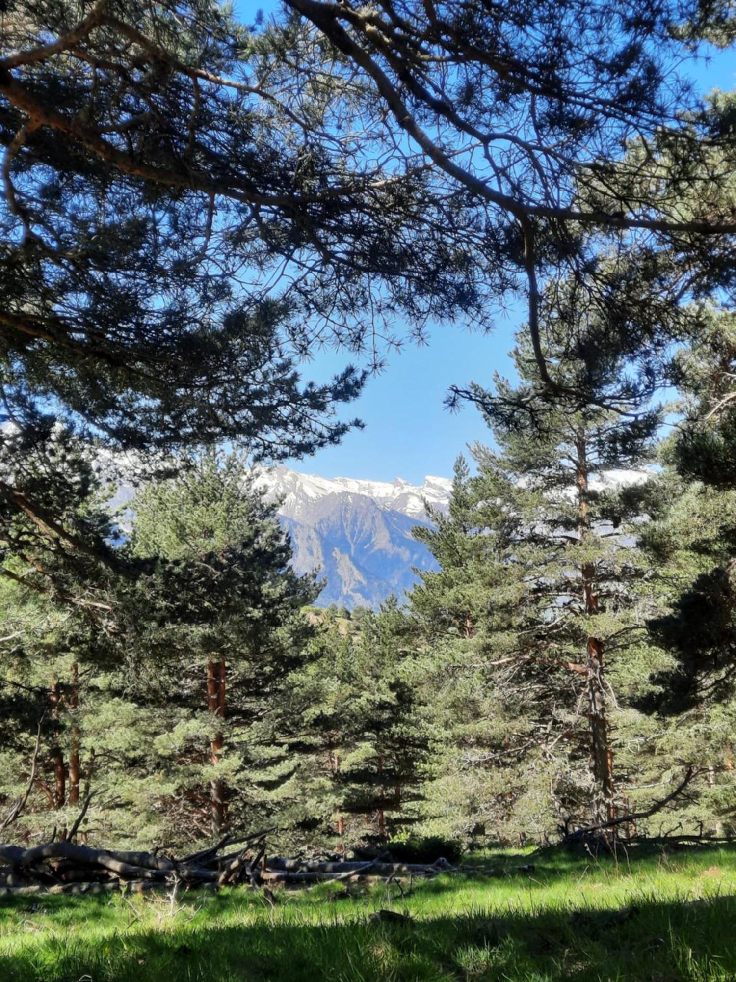 Appart Montagne 3 Etoiles Saint-Lary Station 圣拉里苏朗 外观 照片